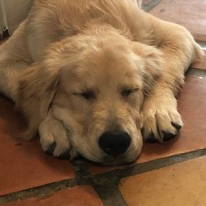 Meet your Posher, Courtnie